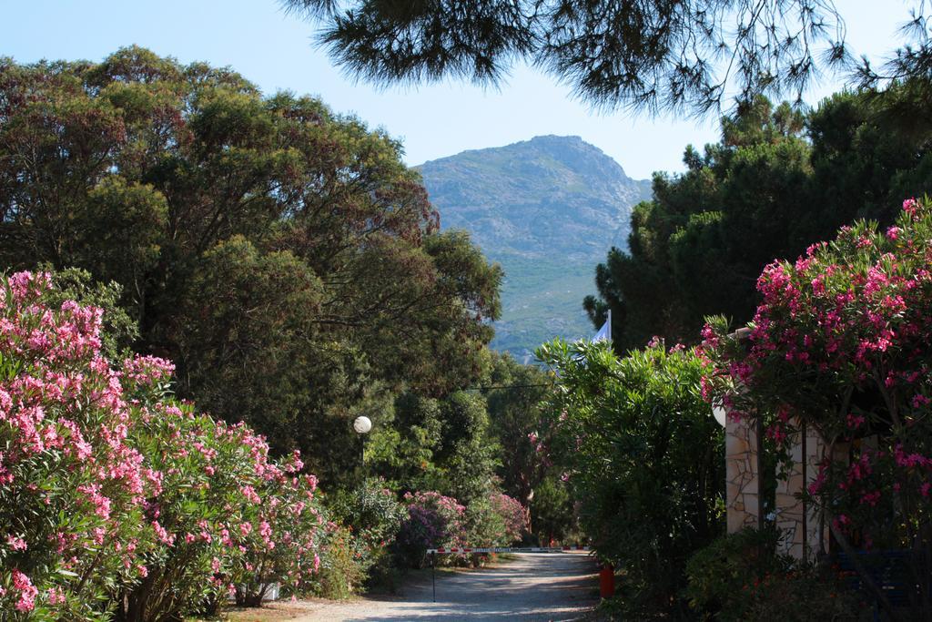 Camping Bella Vista Calvi  Eksteriør billede